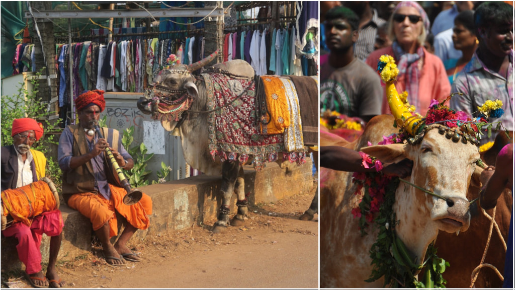 contrastes de l’Inde moderne entre tradition et urbanisation
