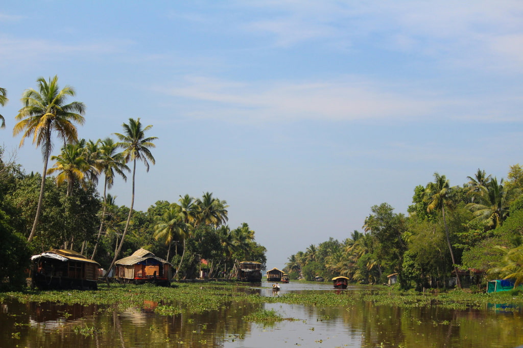 Backwaters du Kerala avec bateau traditionnel et palmiers